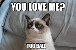 Grumpy-Cat-meme-610x405